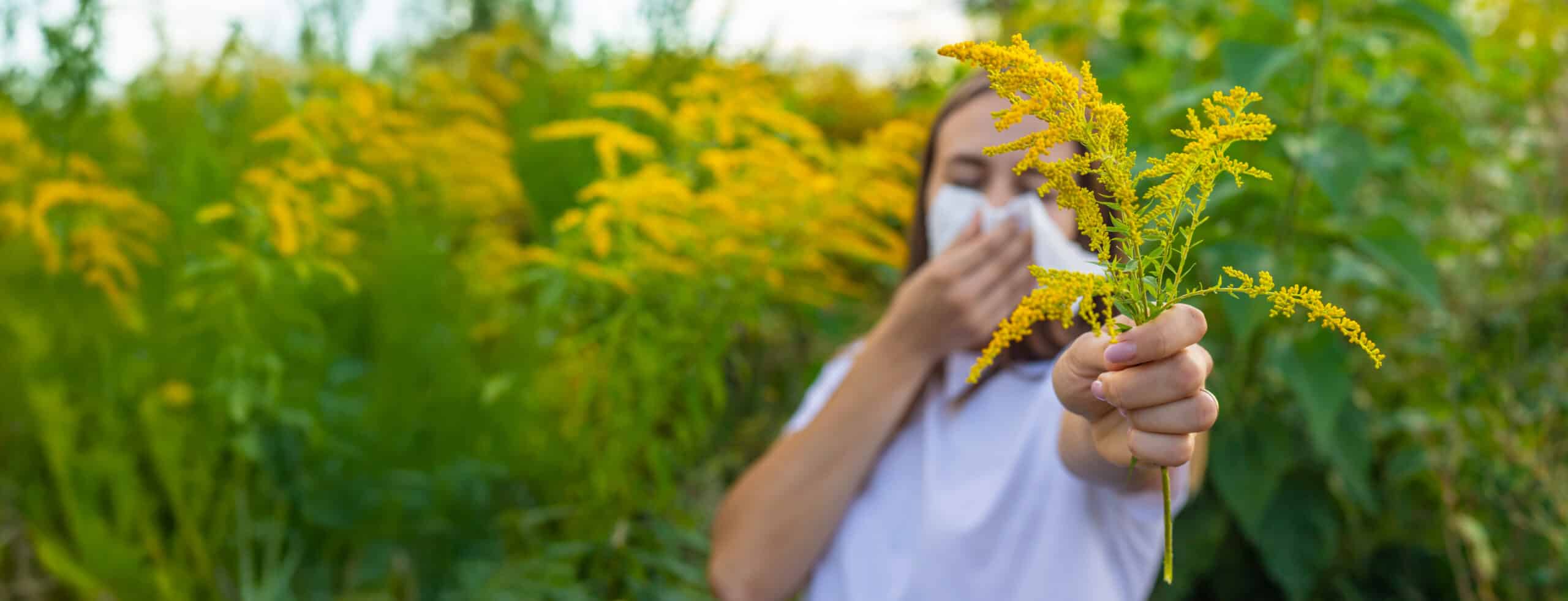 Behandlung von Allergien